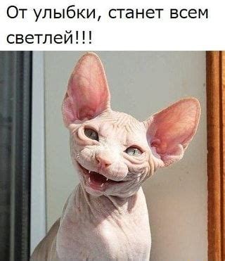 От улыбки, станет всем светлей!!! - популярные мемы на АйДаПриколе