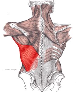 3 Common Causes of Mid-Back Pain - Patrick Senatus, M.D.