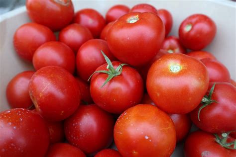 The Pomodoro Technique - Tomatoes instead of time - The Library