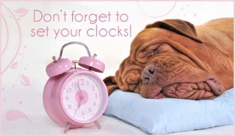 set clocks ecard  summertime begins cards