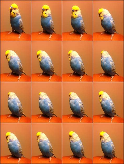 Timeless Craft - Timeless Craft added a new photo.