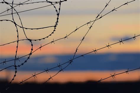 Минюст предложил запретить работу коллекторов в ДНР и ЛНР до 2026 года ...