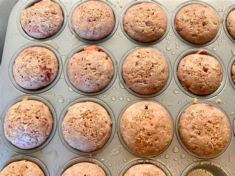 sourdough muffins recipes
