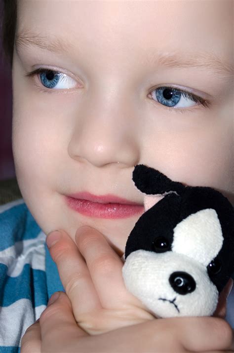 Child And Plush Dog Free Stock Photo - Public Domain Pictures