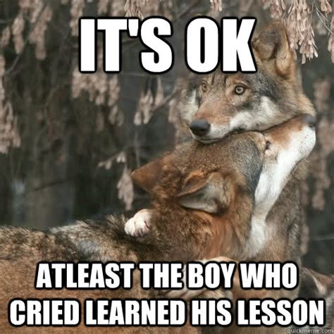 It's ok Atleast the boy who cried learned his lesson - Comfort Wolf ...