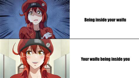 Top 10 Questions About The Waifu Mia Leak, Answered Image 14
