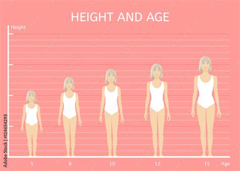 height  age girls children   height  age stock vector