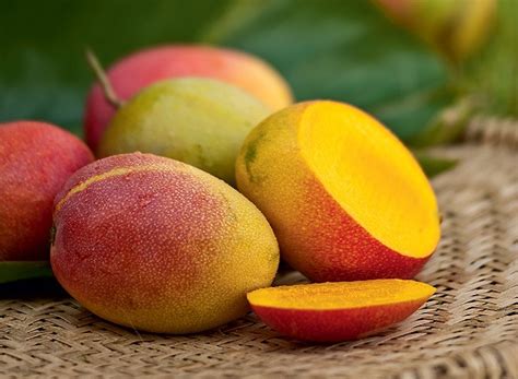 Manga Faz Bem Para Saúde - Os 14 Benefícios da Vitamina de Manga Para Saúde – Santana 360 graus