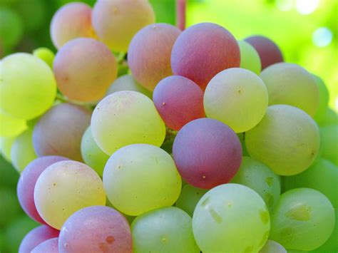 1920x1080 wallpaper | green and red grapes | Peakpx