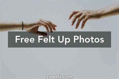 great felt   pexels  stock