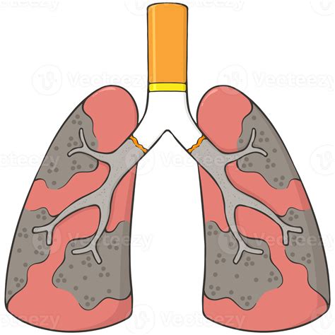 smoker lungs cartoon illustration 45368436 PNG
