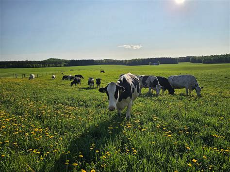 Anneli Saaristo (official) - Minkä biisin haluat kuulla Annelin 70