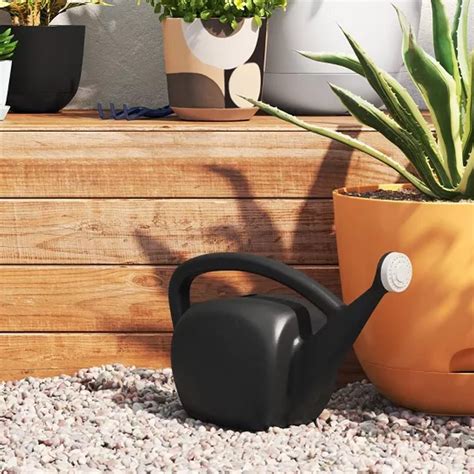 watering cans  healthy plants family handyman