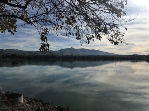 Lovely January Weather: Photos Of The Day | Fremont, CA Patch