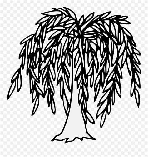 Willow Drawing Detailed - Traceable Willow Tree Clipart (#5659244 ...