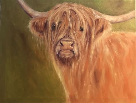 HIGHLAND COO - Oil on Canvas, in ANIMAL