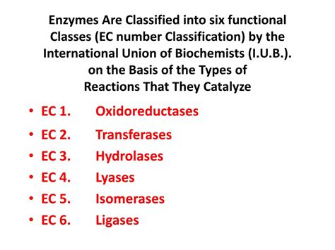 PPT - Enzyme … the Biological Catalyst PowerPoint Presentation, free