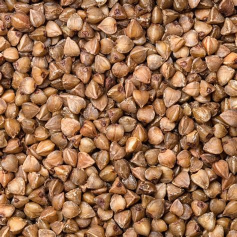 premium photo roasted buckwheat grains close