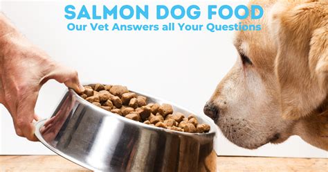 Salmon Dog Food – Our Vet Dishes up all of the Info you Need - Avenue Dogs