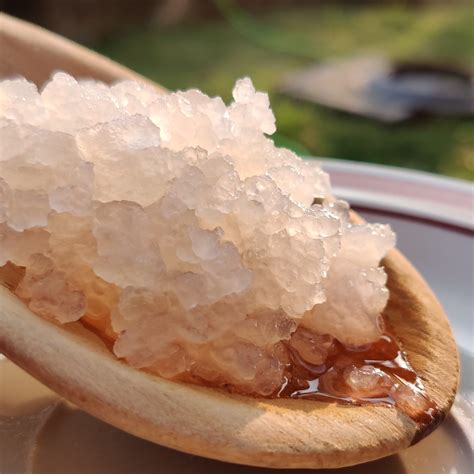 water kefir grains recipes