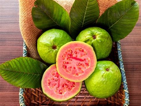 manfaat jambu biji bagi kesehatan  kecantikan kulit wajah tagar