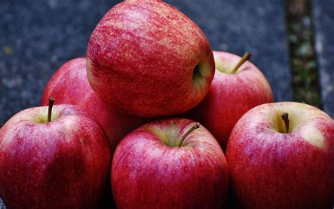 ripe red delicious apples  image