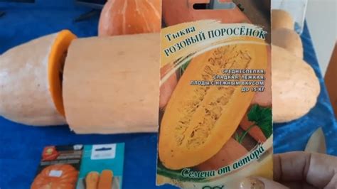 Эту красавицу ,буду сажать , выращивать и в этом году!!! Тыква РОЗОВЫЙ ...