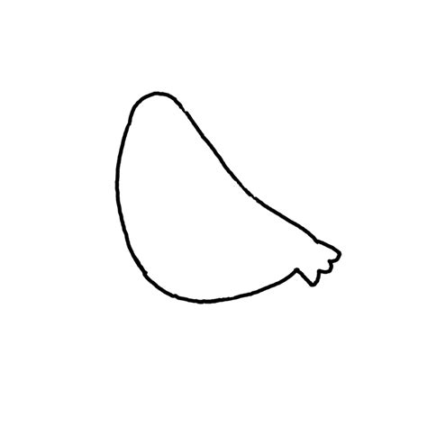 How to Draw a Pigeon - Step by Step Easy Drawing Guides - Drawing Howtos