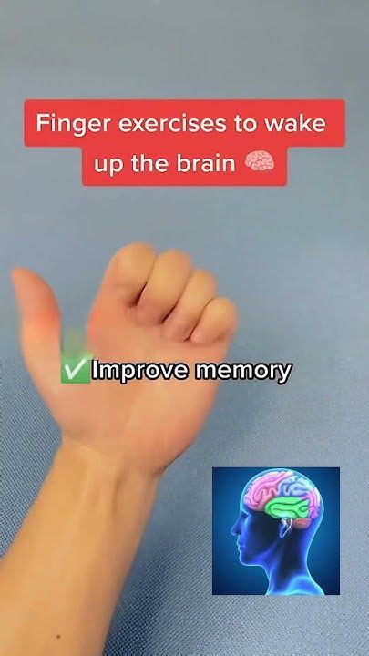 Exercises To Wake Up Your Brain