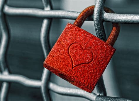 lock heart love fence  stock photo public domain pictures