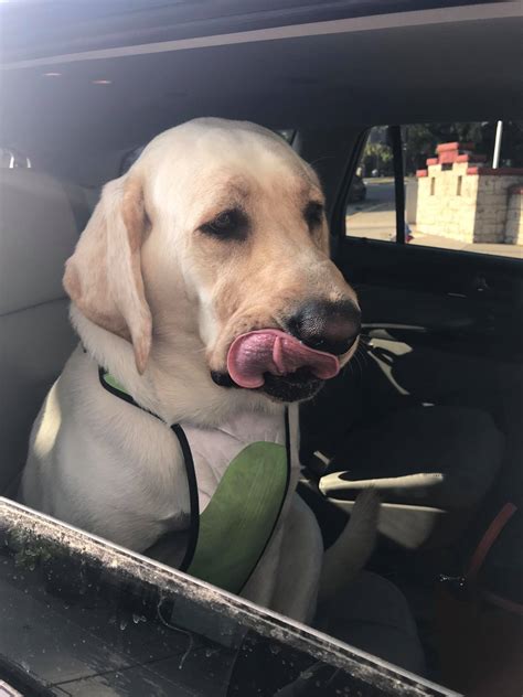 Davis Funeral Chapel, Inc. - Home | Facebook