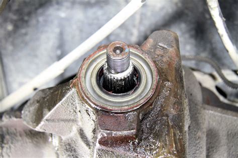 Adeline Bri: Is This The End? (Leak Details Inside) - Truth or Fiction