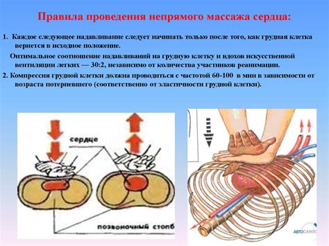 Первая помощь. Комплекс сердечно-легочной реанимации - презентация онлайн