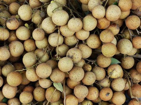 images fruit food produce crop tropical market shopping