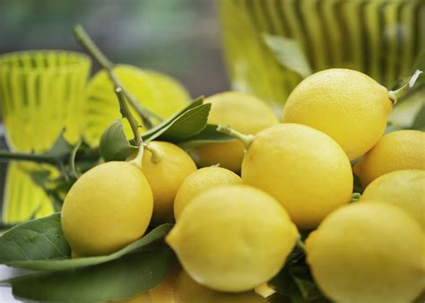 lemonade war  printable book study reading quests