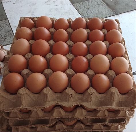 jual telur ayam negeri segar  butir  tray telor ayam premium