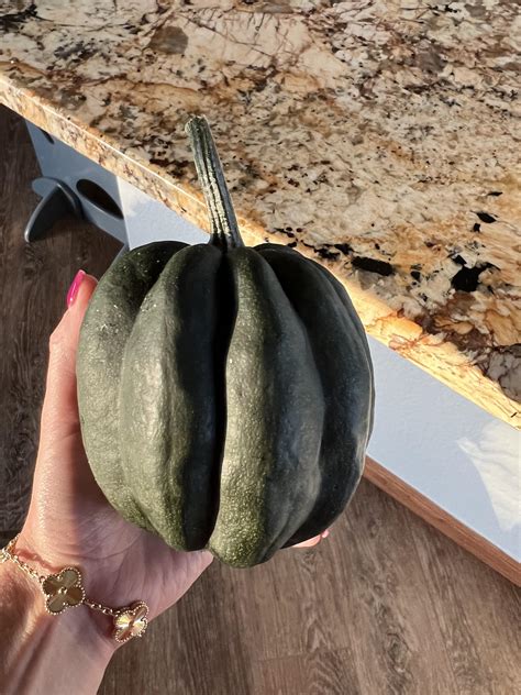 Can Dog Eat Acorn Squash