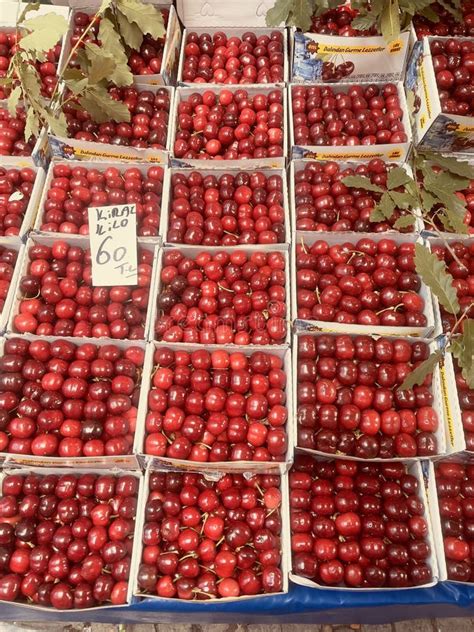 Fresh cherry stock photo. Image of cherries, diameter - 262070226