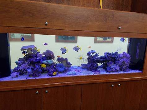 PORTFOLIO | 15383635