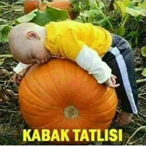 by terzihane20 on ÇÇÇÇÇÇÇÇÇÇÇÇ:) | Baby in pumpkin, Pumpkin ...