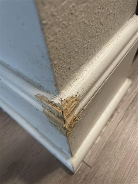 how to fix baseboards dog chewed