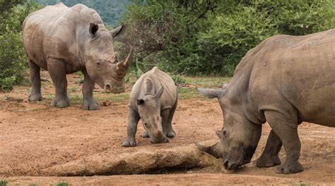 visitez nord ouest guide touristique  expediafr