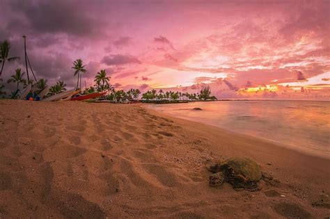 Hawaii Vacation Packages | Create Your Own Hawaii Vacation