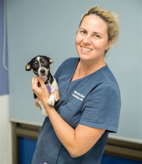 practice western suburbs vet clinic