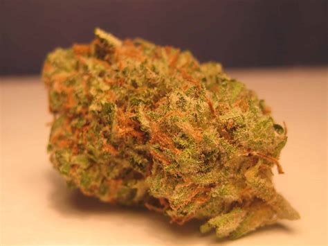 Best Kush Strains 2025 - Brita Marilin