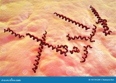Treponema Denticola Bacteria Stock Illustration | CartoonDealer.com ...