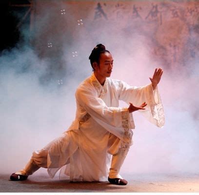 wudang tai chi chuan china tai chi chuan tai chi qigong tai chi