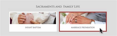 examples   section types      ecatholic