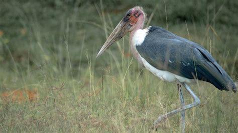 98.854+ Fotos y Imágenes de Mujeres+con+tetas+grandes+desnudas Gratis