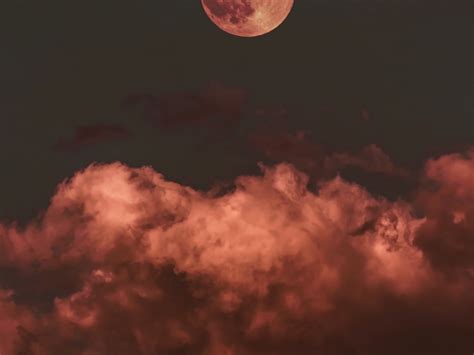 Where could i print something out is a common local question 6